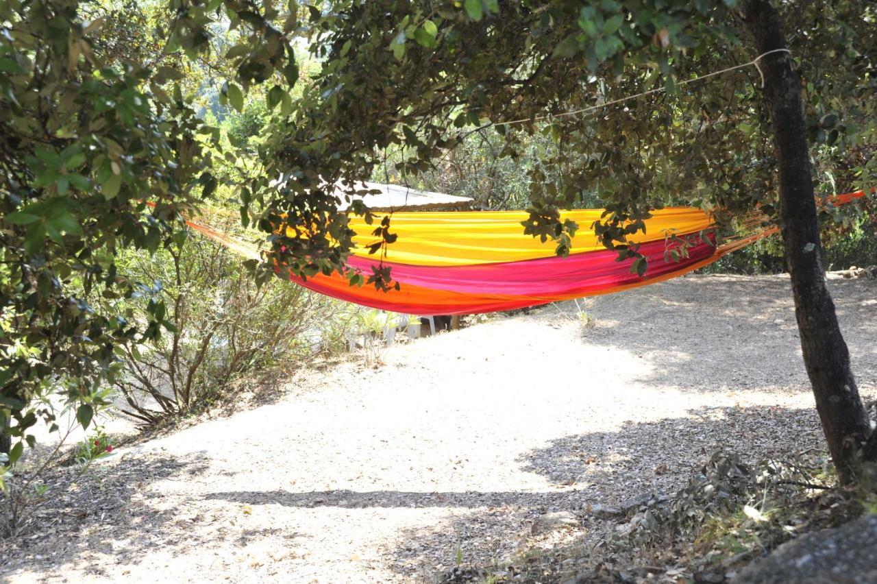 Camping Torraccia Cargèse Dış mekan fotoğraf